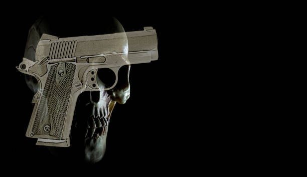 Modular Gun